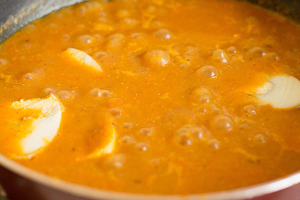 Egg Masala Curry 