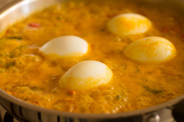 egg curry recipe