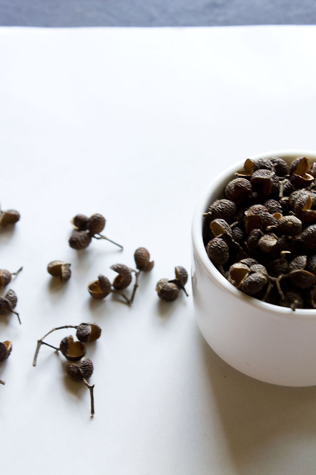 Teppal Spice, Sichuan Pepper, Know more about Sichuan Pepper