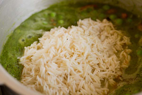 Coriander Rice Recipe (1)
