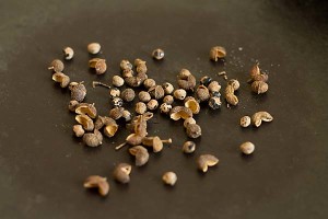 Chinese Five Spice Powder (Step by Step) - Flavors of Mumbai